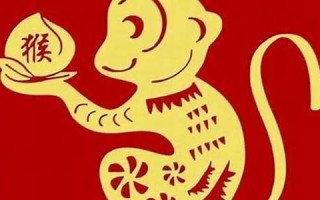 属猴(属猴的年龄表)