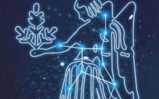 处女座运势(处女座运势明日运势查询)