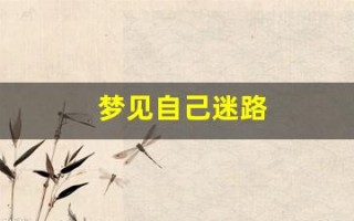 梦见自己迷路(梦见自己迷路了怎么也走不出去)