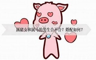 属猪男最佳婚配属相(属猪女最佳婚配属相)