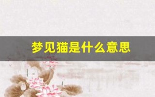 梦见猫是什么意思(梦见猫是什么意思 周公解梦)