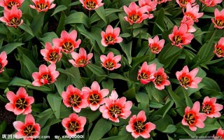 4月22(4月22号是黄道吉日吗)