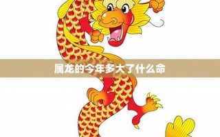 属龙今年多大(鼠今年多大)