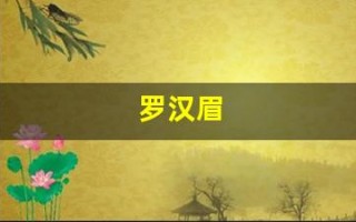 罗汉眉(罗汉眉不是一般人吗)