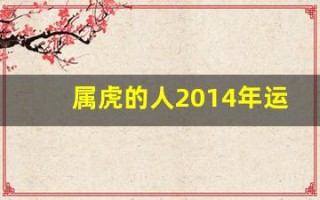 属虎的人2014年运程
