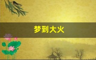 梦到大火(梦到大火烧起来是什么预兆)