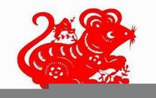 属鼠2020年运势及运程(2025年属鼠全年运势)
