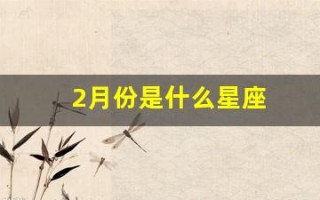2月份是什么星座(2月份是什么星座女)