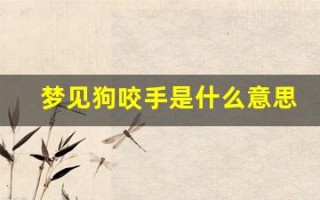 梦见狗咬手是什么意思(周公解梦梦见狗咬手是什么意思)