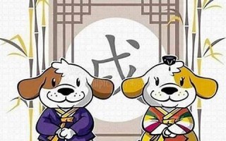 属狗2022年的运势(属狗2022年的运势及运程男)