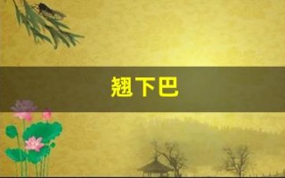 翘下巴(翘下巴面相)
