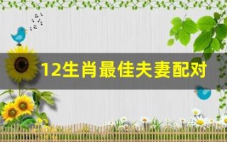 12生肖最佳夫妻配对(12生肖最佳夫妻配对口诀)