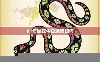属蛇今年运程(属蛇今年运程每月运势)