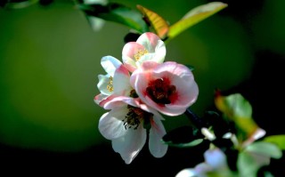 3月19日(3月19日f市水利局在官网公布了关于)