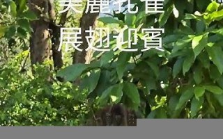 7月12日(7月12日出生的名人)