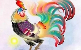 属鸡(属鸡一生最克3个人)