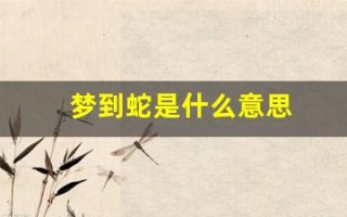梦到蛇是什么意思(做梦梦到蛇是什么意思)