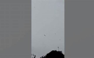 10月8日(10月8日出生的人是什么星座)