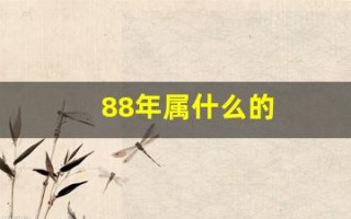 88年属什么的(98年生人属相是属什么的)