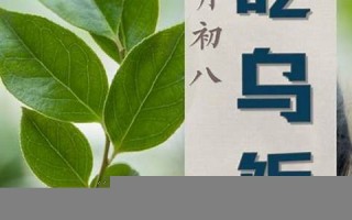 农历4月初8(农历4月初8是什么日子)
