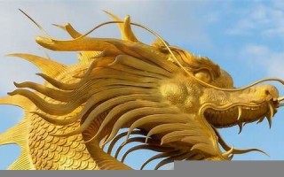 属龙人2023年运势(属龙人2023年运势1988)