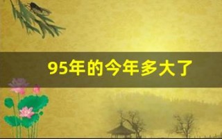 95年的今年多大了(95年的今年多大了虚岁)