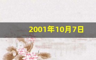 2001年10月7日(2001年10月7日五行)