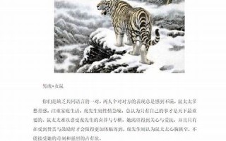 属虎的属相婚配表(属虎的属相婚配表大全)