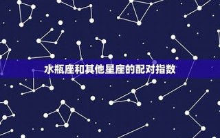 配对指数(狮子座和射手座配对指数)