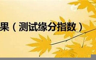 缘分指数(缘分测试超准)