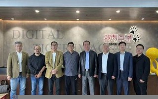 数虎(数虎2023年运势及运程)
