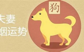属牛男最佳婚配(61年属牛男最佳婚配)