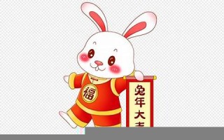 2023年兔年(2023年兔年是辛卯年吗)