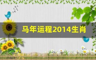 马年运程2014生肖年运(麦玲玲2014马年运程)