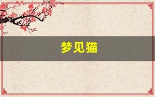 梦见猫(赶都赶不走)