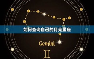 13星座查询(13)