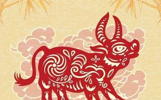 属牛人2013年运势(属牛人2026年运势完整版)