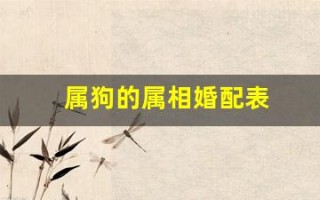 属狗的属相婚配表(属狗的属相婚配表大全)