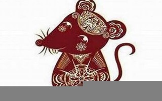 2020鼠年运势(鼠年运势2020年运势如何)