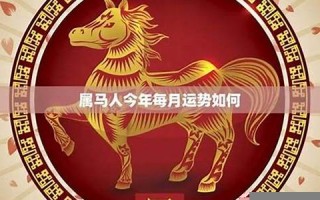 属马的命运(姓马属马的命运)