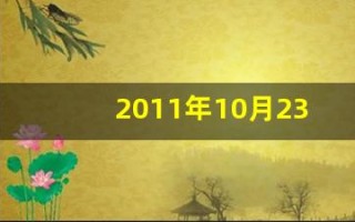 2011年10月23日(2011年10月23日出生)