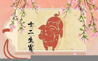 属猪2024年运势及运程详解(属猪2024年运势及运程详解83)