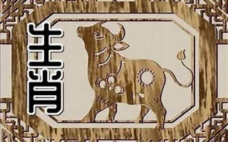 属牛的和什么属相最配(属牛的和什么属相最配)