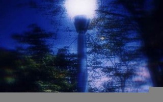 免费查询自己做的梦(免费查询自己做的梦牛)