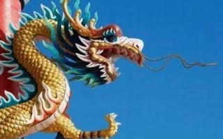 属龙男最佳婚配属相(属龙女最佳婚配属相)