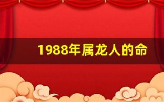 1988年属龙人的命运(1988年属龙人的命运解析)