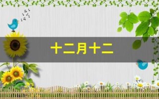 十二月十二(十二月十二日是什么星座)