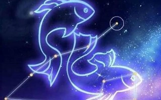 双鱼座和什么星座配(双鱼座和什么星座配对指数最高)