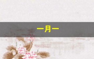 一月一(一月一次的避孕药安全吗)