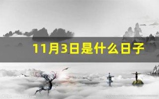 11月3日是什么日子(11月3日是什么日子张起灵)